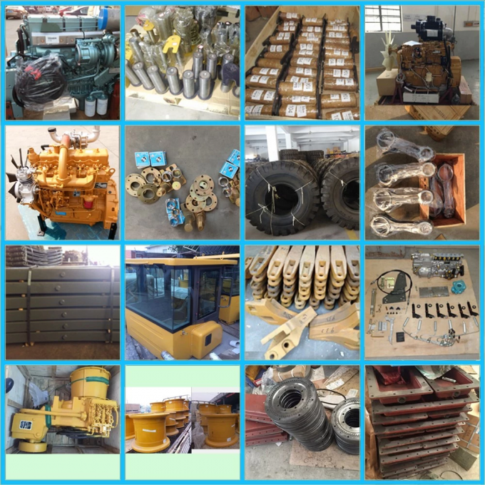 Professional Loader Spare Parts / Wheel Loader Parts Differential