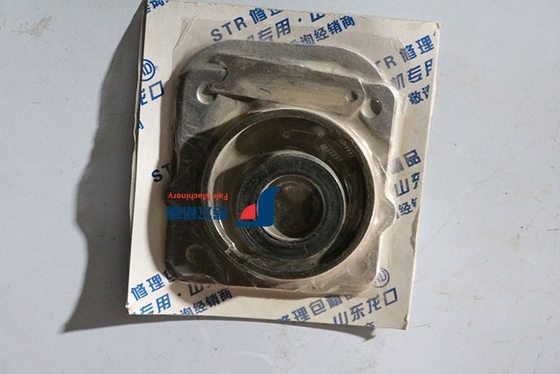 China Multifunction Weichai Engine Spare Parts TD226B Engine Repair Kit supplier