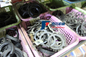 CG956 Chenggong Wheel Loader Spare Parts GB810-88 Nut Gasket GB858-88 supplier