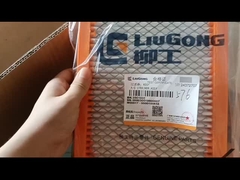 LIUGONG AC FILTER
