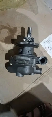 Diesel Truck Engine Parts Cummins 4299026 Water Pump